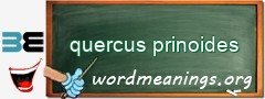 WordMeaning blackboard for quercus prinoides